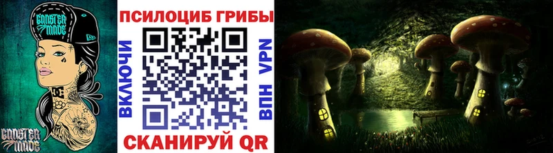 Псилоцибиновые грибы Psilocybine cubensis  Мичуринск 