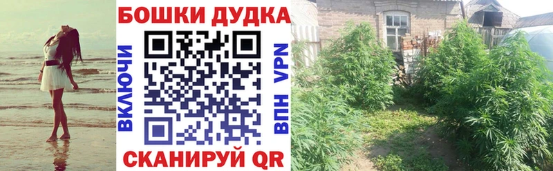 купить наркотик  Мичуринск  Бошки марихуана индика 